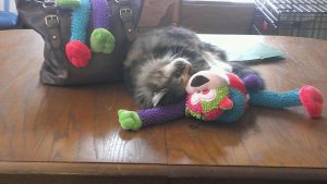 Lucy cuddling with the toy monkey.