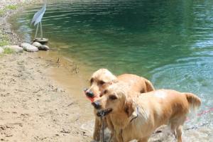 It takes two! photo courtesy of Mid-Day Play