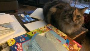 Lucy Kitty Invitation Supervisor