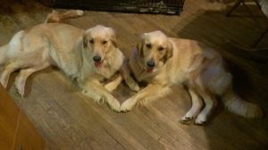 Love from Bonnie and Belle