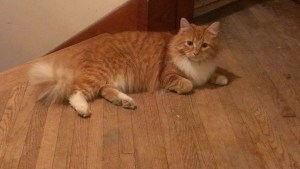 In his safe place upstairs.