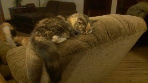 Lucy's favorite spot