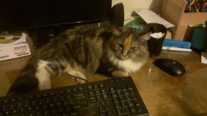 Lucy in her computer supervisory role