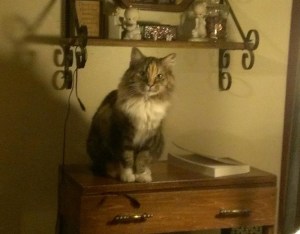 Lucy doing her owl imitation