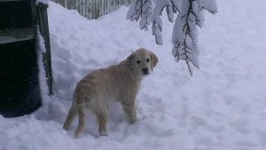 What is all of this stuff?