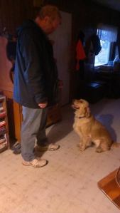 Belle and Greg working on Sit/Stay