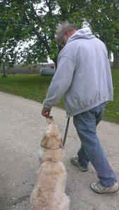 Just like her sisters, Bess went to school to learn manners and how to be a good pup.
