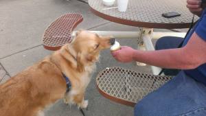 10469204_879570285443723_5264758072821749299_n (2)