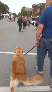 11011298_879570208777064_3711158892120453999_n (2)