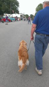 1234865_879570252110393_3351914150009715913_n