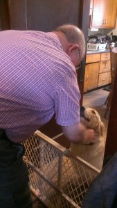 Gerry and Belle practice polite greeting