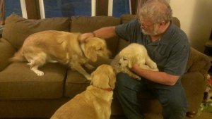 10713008_763345700399516_3932899003962724956_n