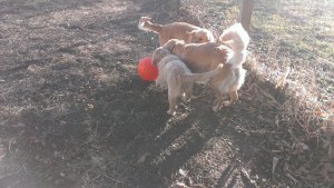 10850039_790873070980112_8418592859720310995_n