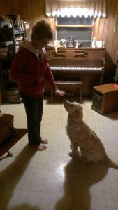 11015106_831976763536409_2240327005905601692_n