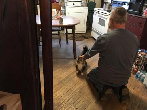 1001972_964784843588933_4881999486630280949_n