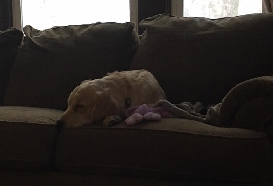 10400646_967202423347175_9129253350671380755_n