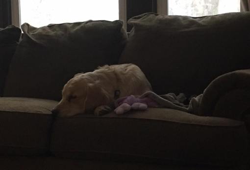 10400646_967202423347175_9129253350671380755_n