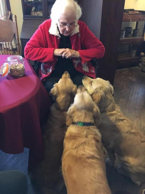 10410798_964784750255609_5740681606756259343_n