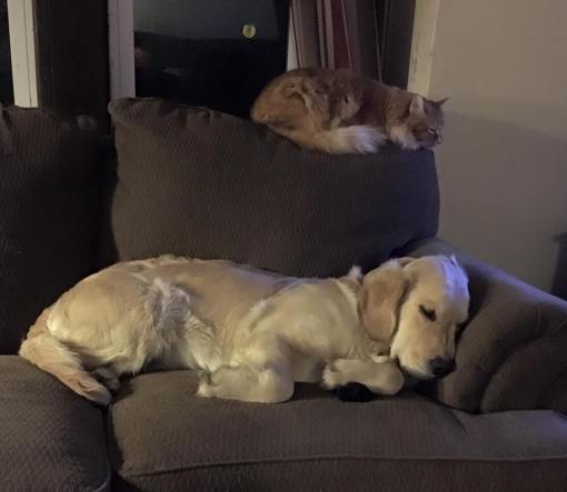 1185_964853816915369_1850138632131868353_n