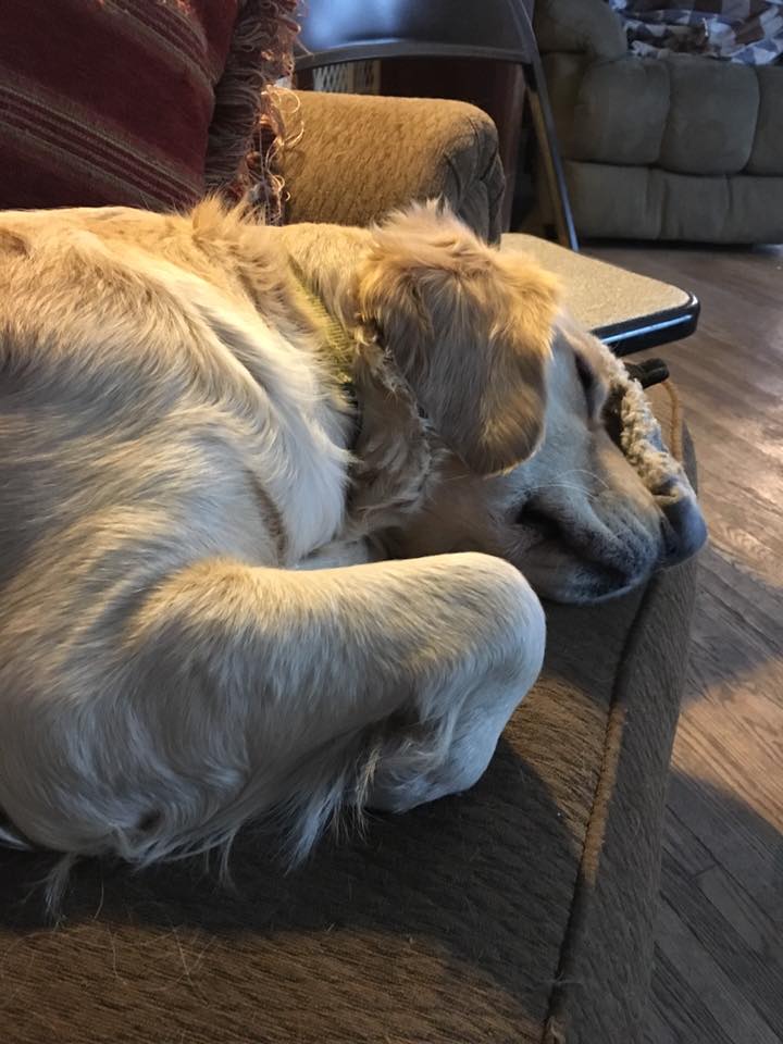 1239547_967202430013841_7151422849541137598_n