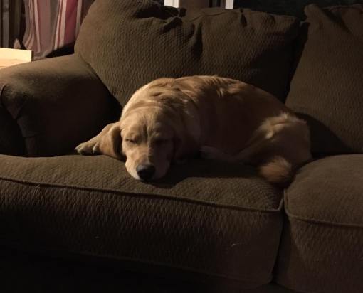 1555507_964853450248739_2386274103006399932_n