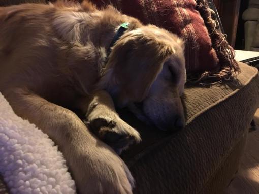 167405_964853460248738_5561465294476337969_n