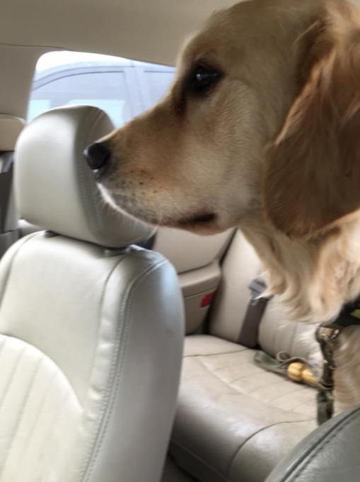 480540_967064673360950_7408146928835609203_n