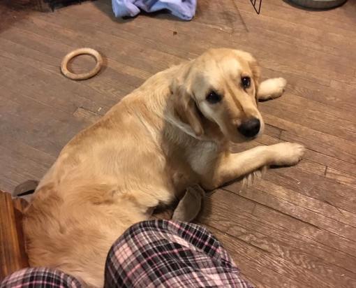 5471_967509289983155_7506848553676065245_n