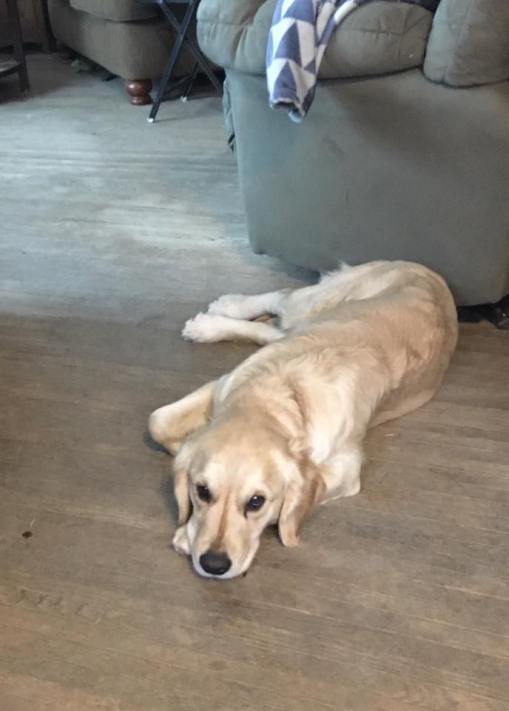 6902_967147926685958_5889092428105777690_n