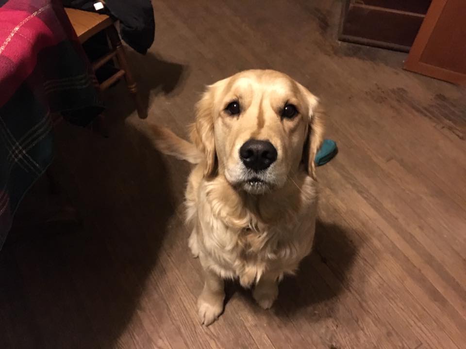 734862_969759899758094_6489982674819478147_n