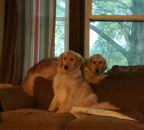 1506412_10206190795272411_4044850035529185323_n