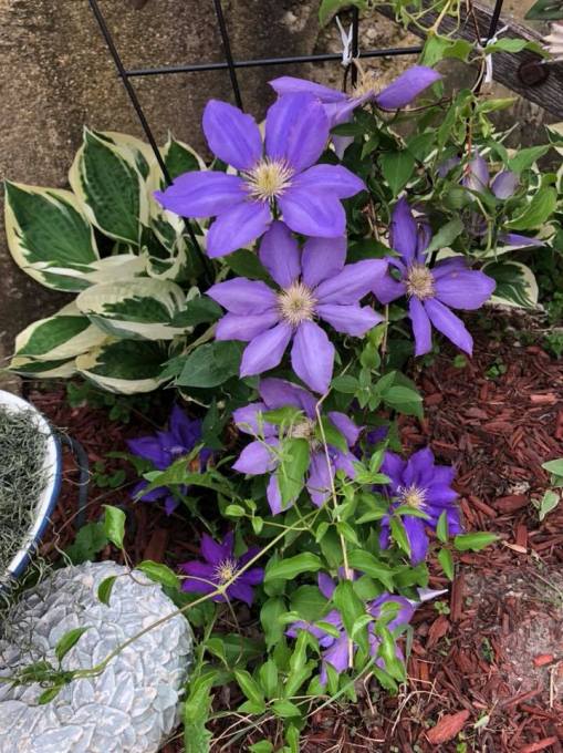 34198883_10215746059828053_2661825347703537664_n