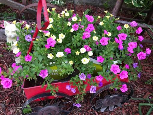 34200312_10215746059668049_1448756266385014784_n